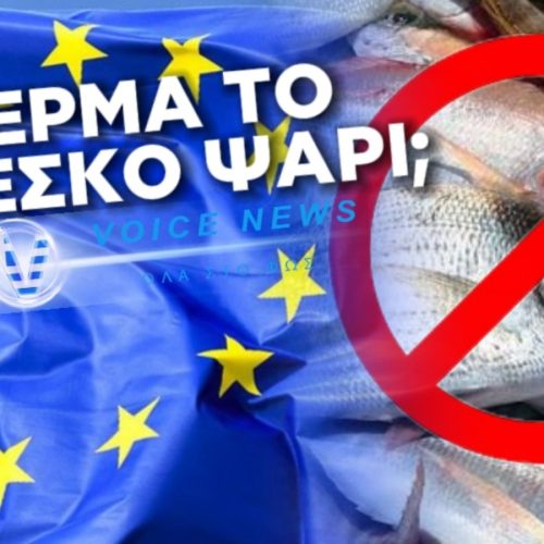 Η ΕΥΡΩΠΗ “ΔΟΛΟΦΟΝΕΙ” ΤΟ ΨΑΡΙ…ΔΕΝ ΘΕΛΕΙ ΦΡΕΣΚΟ ΚΑΙ ΥΓΙΕΣ ΦΑΓΗΤΟ ΣΤΟ ΠΙΑΤΟ ΜΑΣ