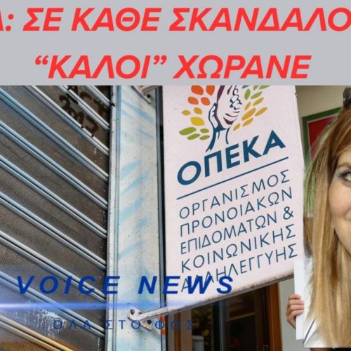 ΑΝΑΣΤΑΣΙΑ ΧΑΤΖΗΔΑΚΗ: ΑΝΑΣΤΟΛΗ ΚΟΜΜΑΤΙΚΗΣ ΙΔΙΟΤΗΤΑΣ ΣΤΟ ΠΑΣΟΚ ΜΕΤΑ ΤΗΝ ΥΠΟΘΕΣΗ ΟΠΕΚΑ