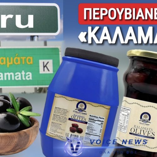ΘΑΥΜΑ! ΕΛΙΕΣ «ΚΑΛΑΜΑΤΑΣ» ΑΠΟ ΤΟ ΠΕΡΟΥ! ΣΤΑ ΚΑΓΚΕΛΑ ΟΙ ΕΛΛΗΝΕΣ ΠΑΡΑΓΩΓΟΙ ΤΗΣ ΜΕΣΣΗΝΙΑΣ!