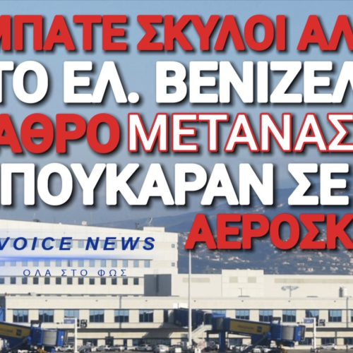 ΚΑΤΑΓΓΕΛΙΑ ΣΟΚ! ΔΥΟ ΠΑΡΑΝΟΜΟΙ ΜΕΤΑΝΑΣΤΕΣ ΠΕΡΑΣΑΝ ΤΟΥΣ ΕΛΕΓΧΟΥΣ ΚΑΙ ΜΠΗΚΑΝ ΣΕ ΠΤΗΣΗ ΓΙΑ ΔΑΝΙΑ!