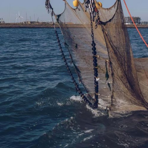 Το Ηνωμένο Βασίλειο προτείνει ευρύτερη απαγόρευση της «καταστροφικής τράτας βυθού» των ωκεανών