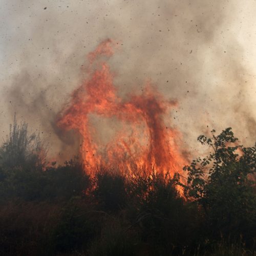 Νέο πύρινο μέτωπο στη Άρτα – Ήχησε το 112