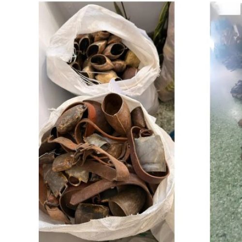 Λασίθι: Εξαρθρώθηκε σπείρα που έκανε ζωοκλοπές και κλοπές κουδουνιών αιγοπροβάτων