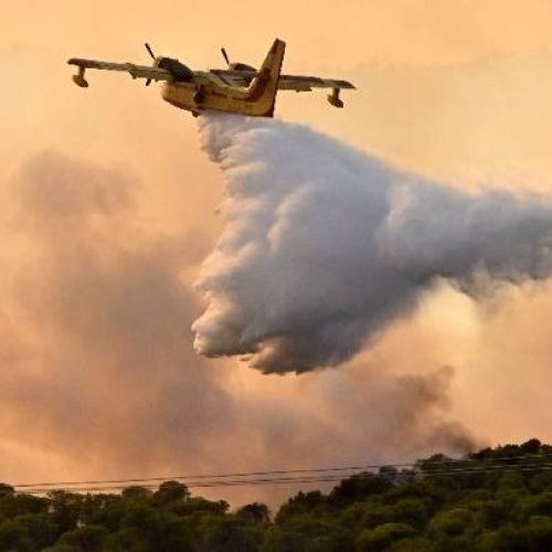 Πυρκαγιά σε δασική έκταση στη Φθιώτιδα