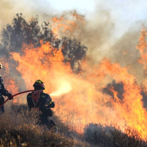 Πυρκαγιά στην Ιεράπετρα Κρήτης, Πέμπτη 3 Ιουλίου 2025. Στα μέτωπα της πυρκαγιάς επιχείρησαν 230 πυροσβέστες με 13 ομάδες πεζοπόρων τμημάτων, 46 οχήματα και ομάδα μη επανδρωμένων αεροσκαφών, δέκα ελικόπτερα, εκ των οποίων το ένα για τον συντονισμό τους.
(ΣΤΕΦΑΝΟΣ ΡΑΠΑΝΗΣ/EUROKINISSI)