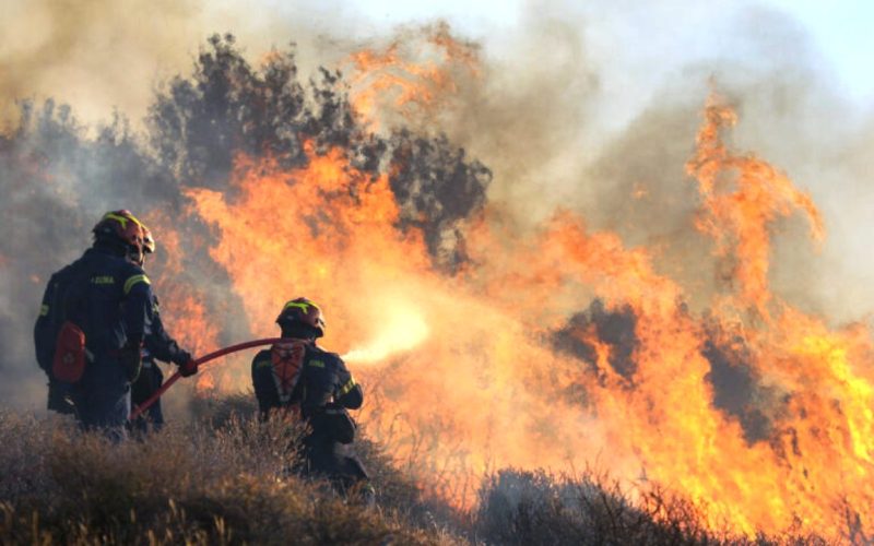 Πυρκαγιά στην Ιεράπετρα Κρήτης, Πέμπτη 3 Ιουλίου 2025. Στα μέτωπα της πυρκαγιάς επιχείρησαν 230 πυροσβέστες με 13 ομάδες πεζοπόρων τμημάτων, 46 οχήματα και ομάδα μη επανδρωμένων αεροσκαφών, δέκα ελικόπτερα, εκ των οποίων το ένα για τον συντονισμό τους.
(ΣΤΕΦΑΝΟΣ ΡΑΠΑΝΗΣ/EUROKINISSI)