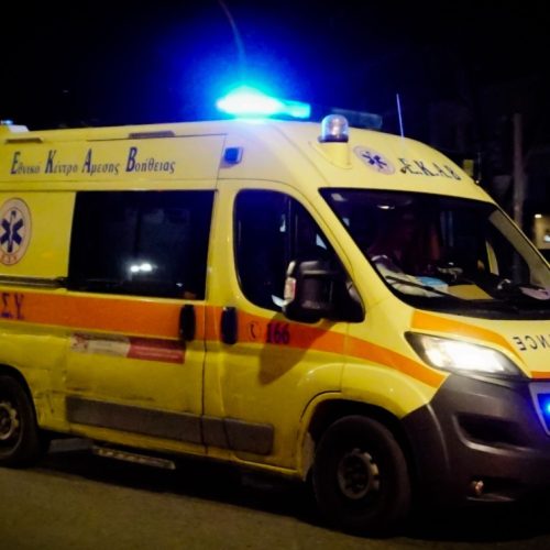 Θεσσαλονίκη: Επίθεση αδέσποτων σκύλων σε μητέρα και κόρη – Τραυματισμός και μεταφορά σε νοσοκομείο