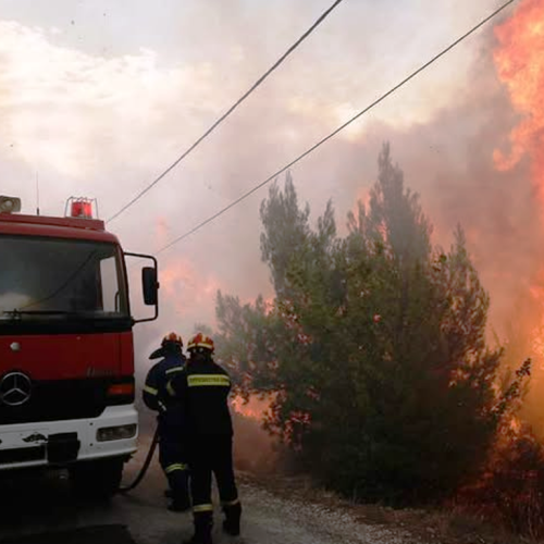 Πυρκαγιά σε δασική έκταση στην Κορινθία
