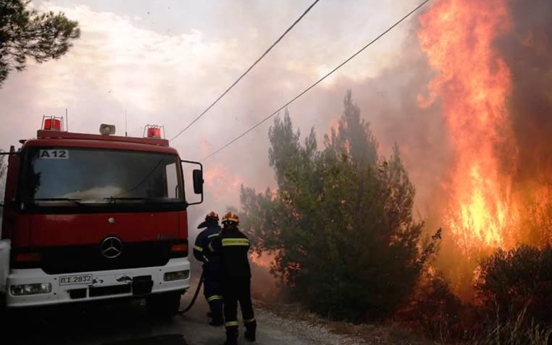 Πυρκαγιά σε δασική έκταση στην Κορινθία