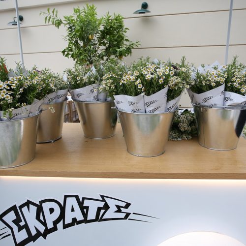 Λαμπερά γενέθλια σε floral σκηνικό για το TLIFE – Δείτε το δώρο έκπληξη που πρόσφερε το ΣΚΡΑΤΣ στους καλεσμένους