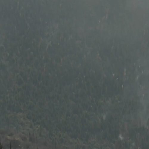 Εικόνες ολέθρου από την επόμενη μέρα στον Φενεό – Εκτεταμένες ζημιές και συλλήψεις για εμπρησμό [ΒΙΝΤΕΟ-ΦΩΤΟ]