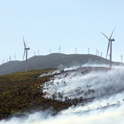 Πανελλαδική εισαγγελική έρευνα για τα αιολικά πάρκα από τη Διεύθυνση Αντιμετώπισης Εγκλημάτων Εμπρησμού μετά τη μεγάλη φωτιά στη Βοιωτία