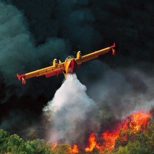 ΦΩΤΙΑ σε «αγροτοδασική» έκταση στην Αργολίδα