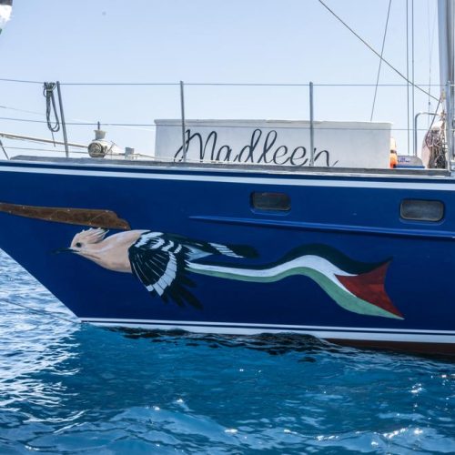 Σκάφος βοήθειας με προορισμό τη Γάζα διασώζει «τέσσερις Λίβυους μετανάστες» στη Μεσόγειο Θάλασσα