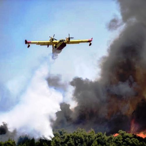 Πυρκαγιά σε δασική έκταση στο Σουφλί