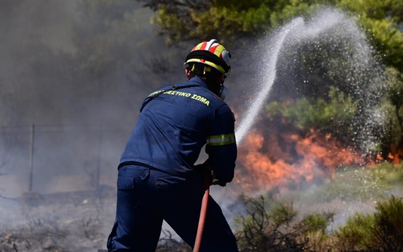 Πυρκαγιά στην Ξηρόβρυση Κιλκίς