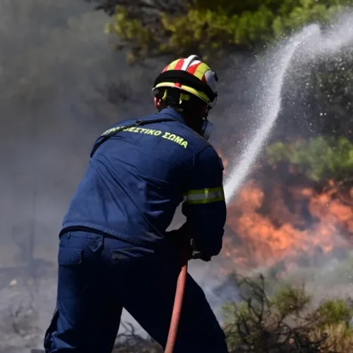 Γρεβενά: Υπό έλεγχο η φωτιά στη Βάλια Κάλντα