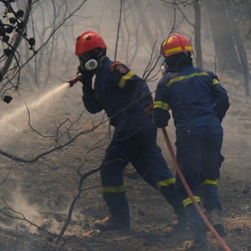 Φωτιές σε Χαλκίδα και Ρόδο