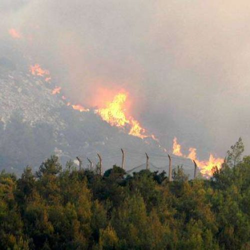 Πυροσβεστική: 44 αγροτοδασικές πυρκαγιές το τελευταίο 24ωρο
