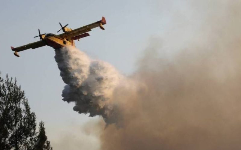 Φθιώτιδα: Πυρκαγιά σε εξέλιξη στο Βαθύκοιλο – Κινητοποίηση 34 πυροσβεστών και εναέριων μέσων