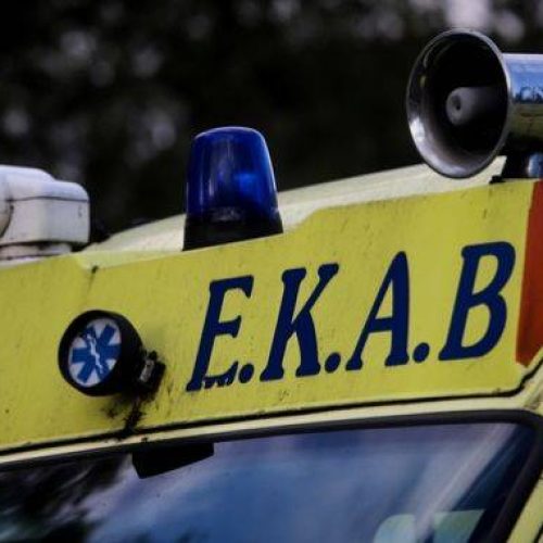 Στο νοσοκομείο 42χρονος μετά από δάγκωμα οχιάς στην αυλή του σπιτιού του