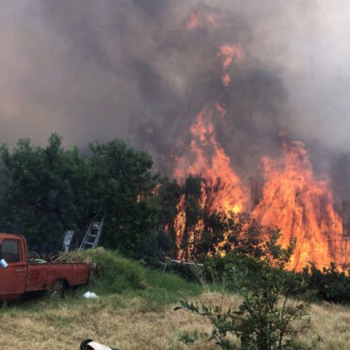 Φωτιά στη Βόλβη Θεσσαλονίκης