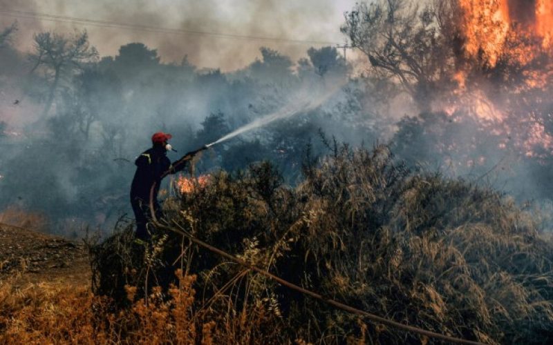 Χαλκιδική: Οριοθετήθηκε η φωτιά σε δασική έκταση σε δύσβατο σημείο