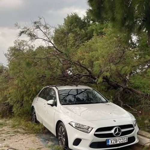 Ισχυροί άνεμοι σάρωσαν τα Μέγαρα – Δέντρα έπεσαν σε αυτοκίνητα, ζημιές και αποκλεισμοί (ΒΙΝΤΕΟ-ΦΩΤΟ)
