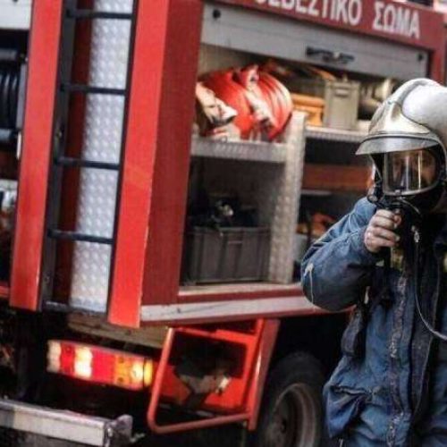 Χωρίς ενεργό μέτωπο οι πυρκαγιές σε Χαλκιδική και Ροδόπη