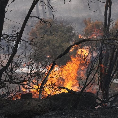 Από το τσιγάρο στον όλεθρο –  Ομολόγησε η γυναίκα που το πέταξε και έκαψε τη Χίο