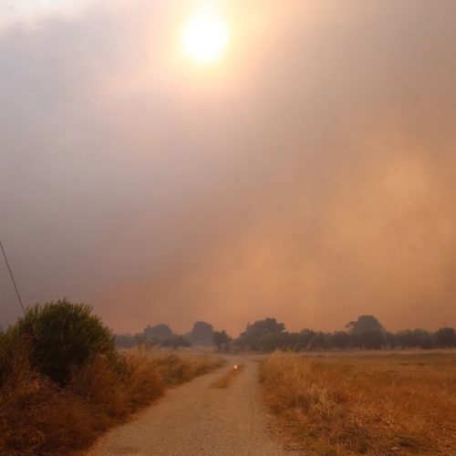 Τρίτο 24ωρο καταστροφής: Σε πύρινο κλοιό τα Μέγαρα Αττικής και η Βοιωτία – Φωτιά και στην Κεφαλονιά