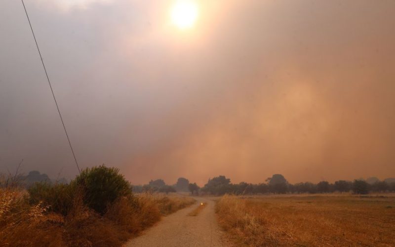 Τρίτο 24ωρο καταστροφής: Σε πύρινο κλοιό τα Μέγαρα Αττικής και η Βοιωτία – Φωτιά και στην Κεφαλονιά
