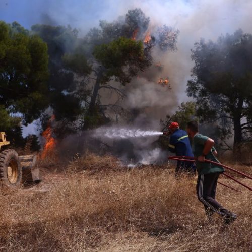 Μάχη με τα πύρινα μέτωπα στη Δυτική Αττική