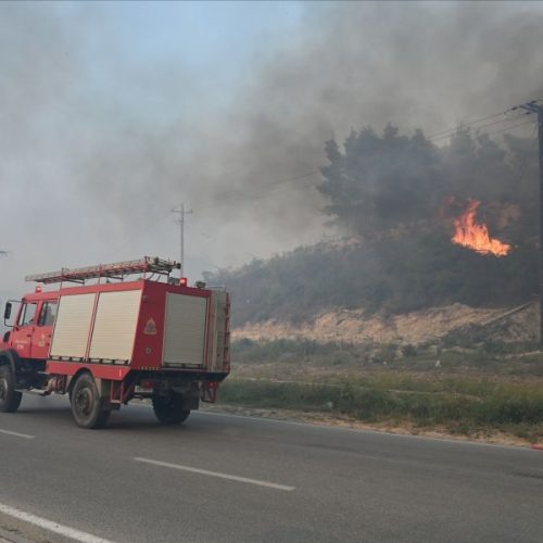 Χαλκιδική: Βελτιωμένη η εικόνα από το πύρινο μέτωπο – Σε επιφυλακή η Πυροσβεστική για τις αναζωπυρώσεις
