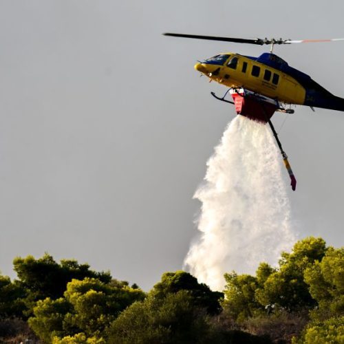 Βελτιωμένη εικόνα από τις φωτιές σε Σαλαμίνα και Βοιωτία – Συνεχίζονται οι επιχειρήσεις κατάσβεσης