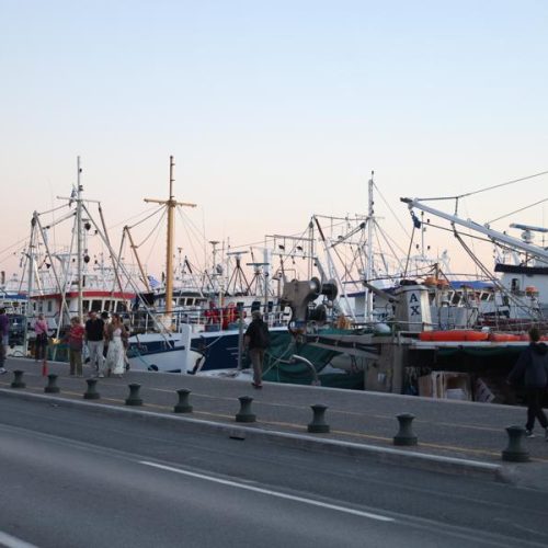 Πανελλαδικός ξεσηκωμός των παράκτιων αλιέων – Συμβολικοί αποκλεισμοί λιμανιών