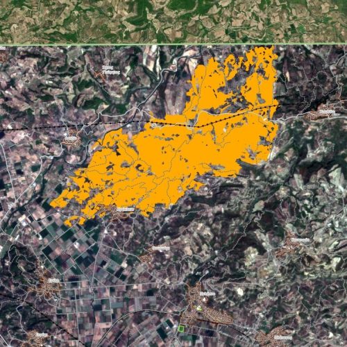 Ηλεία: Κοντά 8.000 στρέμματα καμένης γης άφησε πίσω της η φωτιά