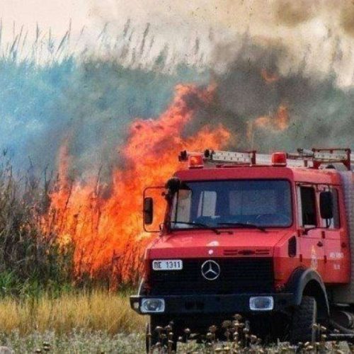 Βοιωτία: Συνεχίζεται η μάχη με τις φλόγες – Η φωτιά κατευθύνεται προς Δομβραίνα