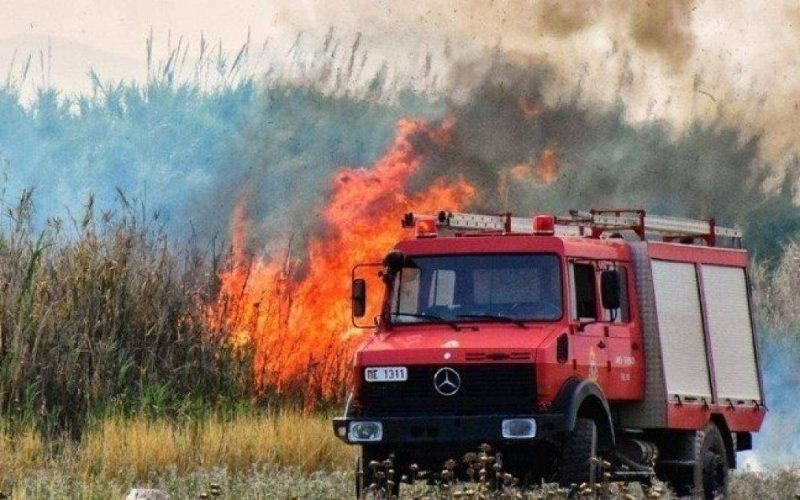 Βοιωτία: Συνεχίζεται η μάχη με τις φλόγες – Η φωτιά κατευθύνεται προς Δομβραίνα