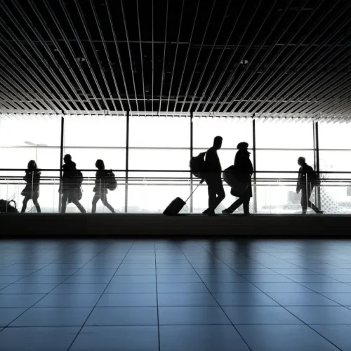 (ΕΙΚΟΝΕΣ) Σοκ σε αεροδρόμιο: Κατάσχεση αποσκευών με παρασιτικά τρόφιμα και κρέας από πρωτεύοντα!