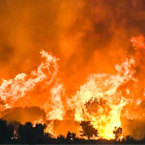 Πυρκαγιά στην Αχαϊα Τρίτη 12 Αυγούστου 2025. Η φωτιά ξέσπασε λίγο μετά τη 13.00 το μεσημέρι και για την κατάσβεσή της στο σημείο επιχείρησαν σε πρώτη φάση, 35 πυροσβέστες με 2 ομάδες πεζοπόρων καθώς και 10 οχήματα, ενώ από αέρος ρίψεις νερού έκανε ένα ελικόπτερο.
(EUROKINISSI)