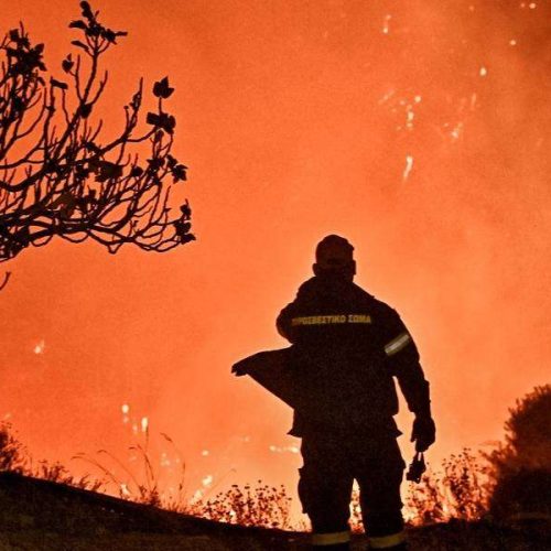 Πυροσβεστική: 48 αγροτοδασικές πυρκαγιές το τελευταίο 24ωρο