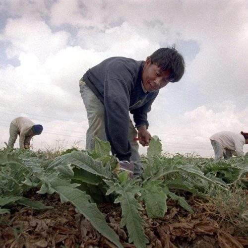 Η Ταϊλάνδη σχεδιάζει να εκκενώσει τους πολίτες της από το Ισραήλ και το Ιράν