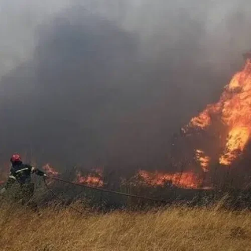 Θεσσαλονίκη: Στον εισαγγελέα ο 59χρονος για έξι φωτιές στη Σίνδο μέσα σε τρεις ημέρες