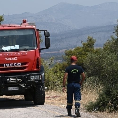 Δύο φωτιές το απόγευμα στη Δυτική Θεσσαλονίκη σε Ωραιόκαστρο και Διαβατά