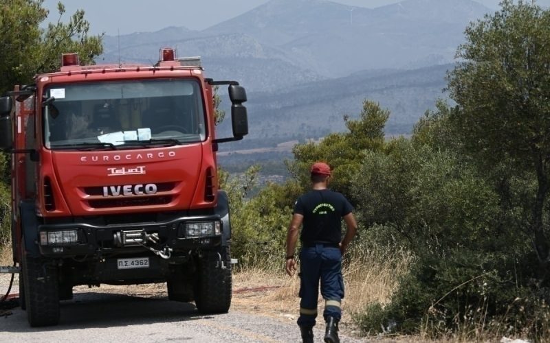 Δύο φωτιές το απόγευμα στη Δυτική Θεσσαλονίκη σε Ωραιόκαστρο και Διαβατά