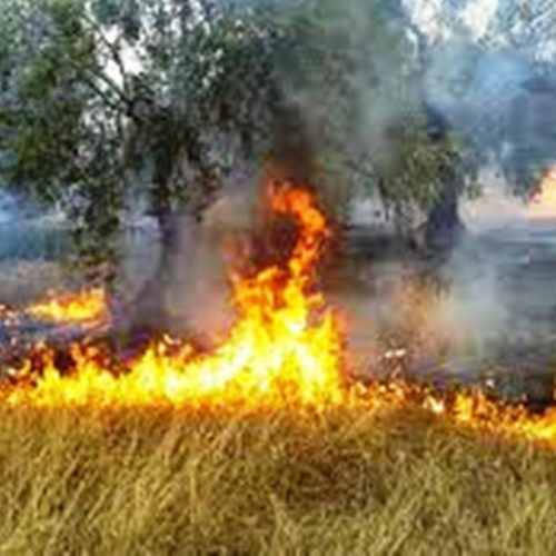 Πολύ υψηλός κίνδυνος πυρκαγιάς αύριο σε Κρήτη και νησιά του Βορείου Αιγαίου