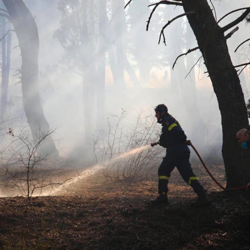 Νέα πυρκαγιά στο Ωραιόκαστρο Θεσσαλονίκης – Μήνυμα 112 για εκκένωση περιοχής