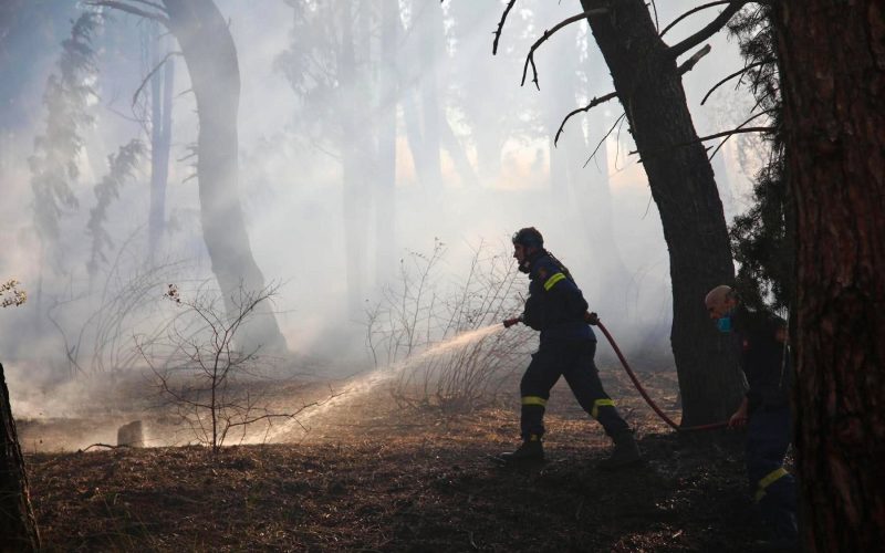 Νέα πυρκαγιά στο Ωραιόκαστρο Θεσσαλονίκης – Μήνυμα 112 για εκκένωση περιοχής