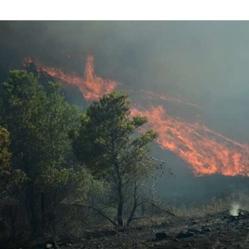 [ΕΚΤΑΚΤΟ] Σε εξέλιξη μεγάλη πυρκαγιά στην Ηλεία [ΦΩΤΟ]